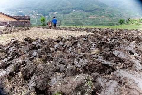 农民土地互换后存争议的土地怎确权