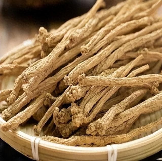 健脾益肺，养血生津——党参