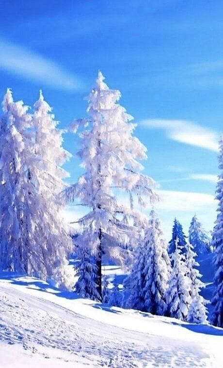 全球十大滑雪胜地推荐