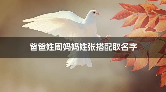 爸爸姓周妈妈姓张，如何结合两个姓氏取男宝名字
