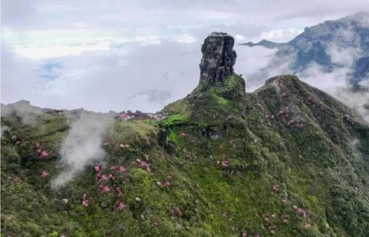 贵州梵净山：杜鹃烂漫梵净山 色彩缤纷游人醉