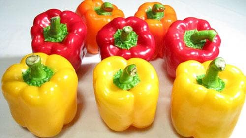 彩椒的功效与作用、禁忌和食用方法