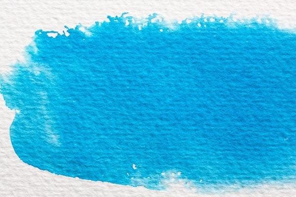 鱼缸过滤器不上水怎么办？多种原因及解决方案详解