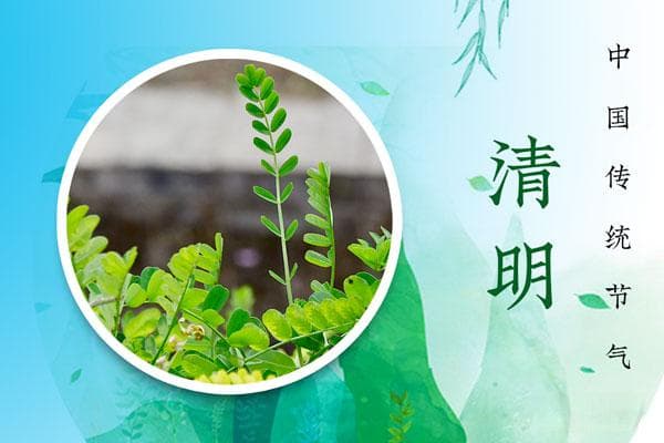 2025年清明节是哪天？清明节的由来与文化内涵