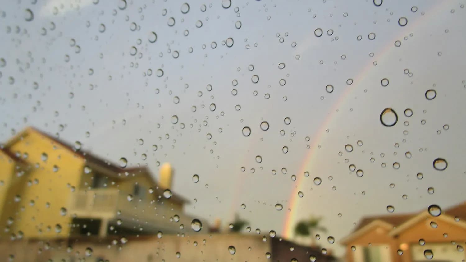 《阳光总在风雨后》和《清晨的曙光》，你的闹铃新宠？