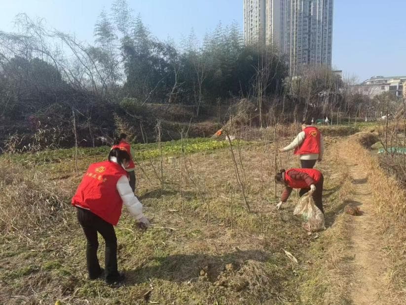桐城市文昌街道石河村巾帼志愿者助力人居环境整治