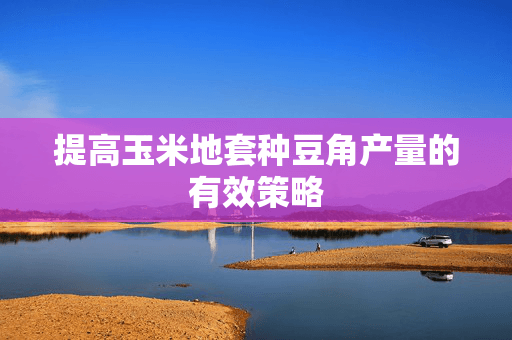 提高玉米地套种豆角产量的有效策略