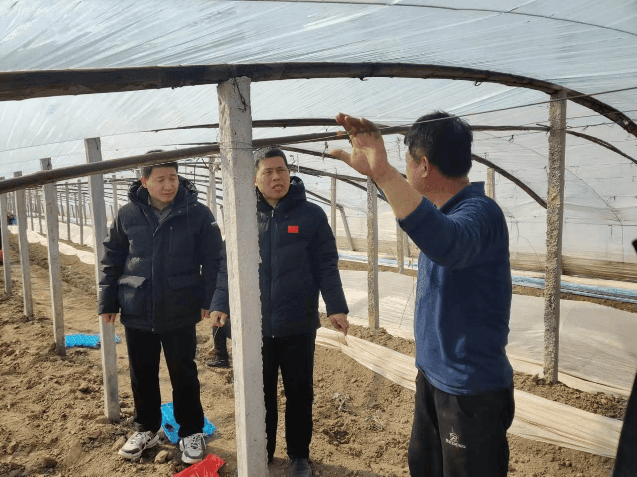 河北大名：专家把脉西瓜种植 技术赋能产业振兴