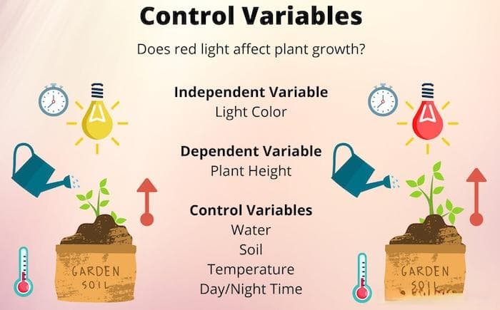 控制变量分析（Control Variable Analysis）