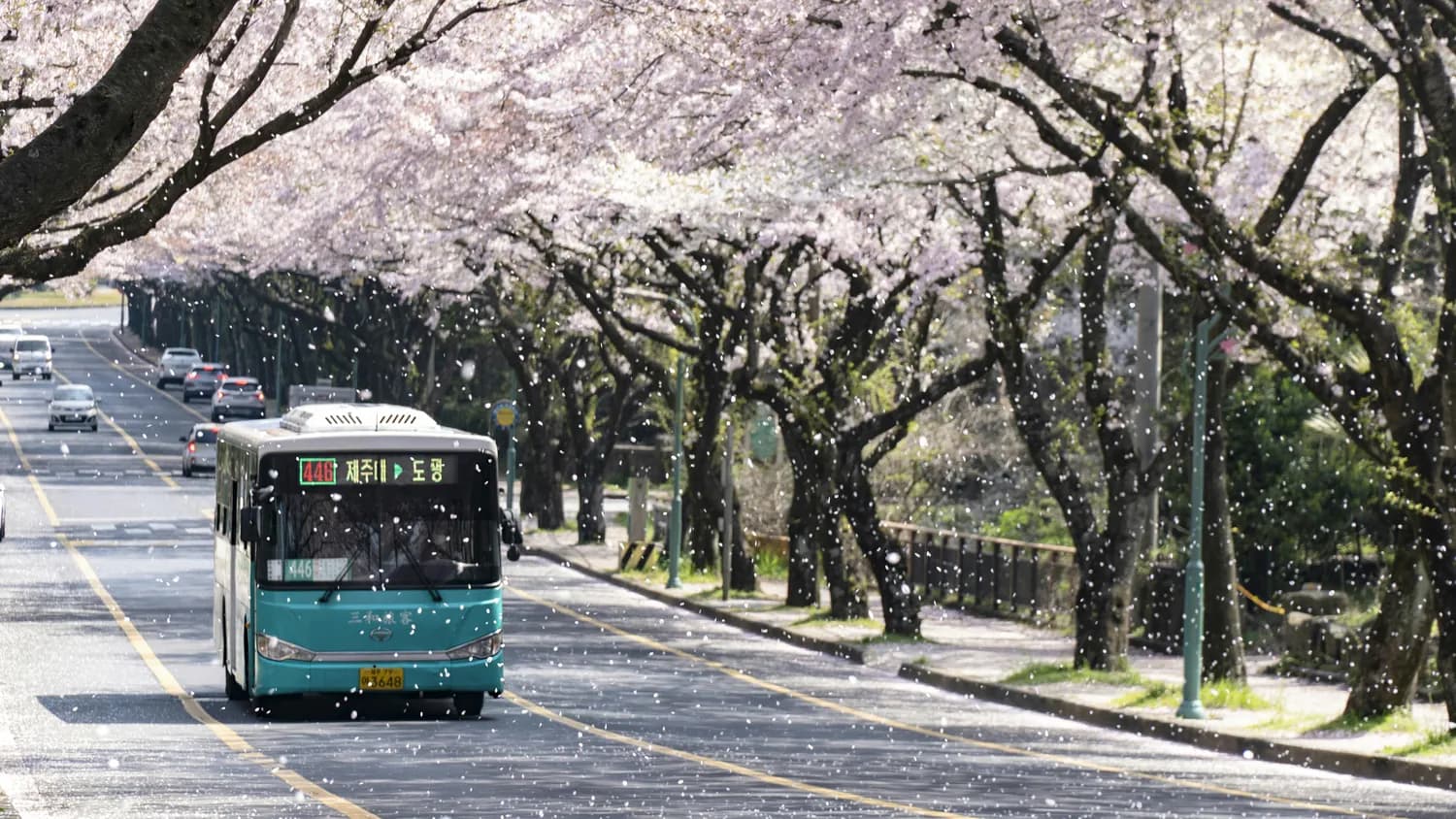 南京公交线路大调整：121路与203路整合，新增B11路