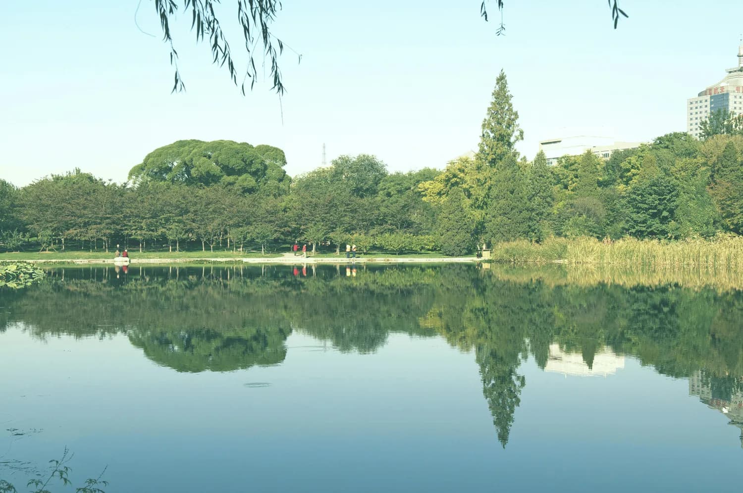 四川大学周边打卡必去景点