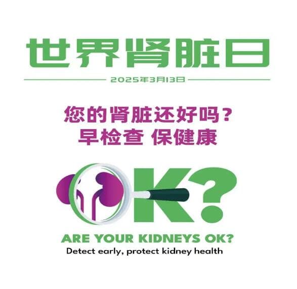 世界肾脏日：您的肾脏还好吗？早检查，早健康