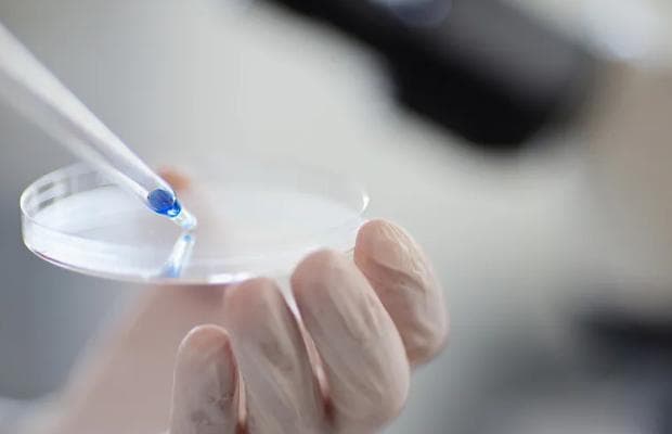 干细胞肺癌治疗临床效果评估