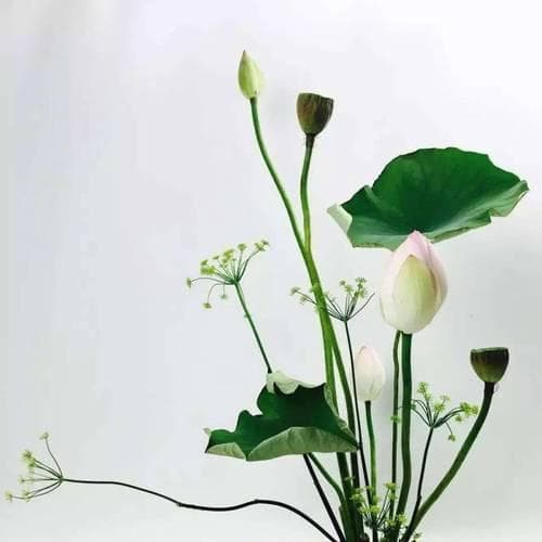 插花风格全解析：东西方插花艺术的多样魅力