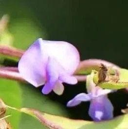三位名医治疗高血压的经验方详解！