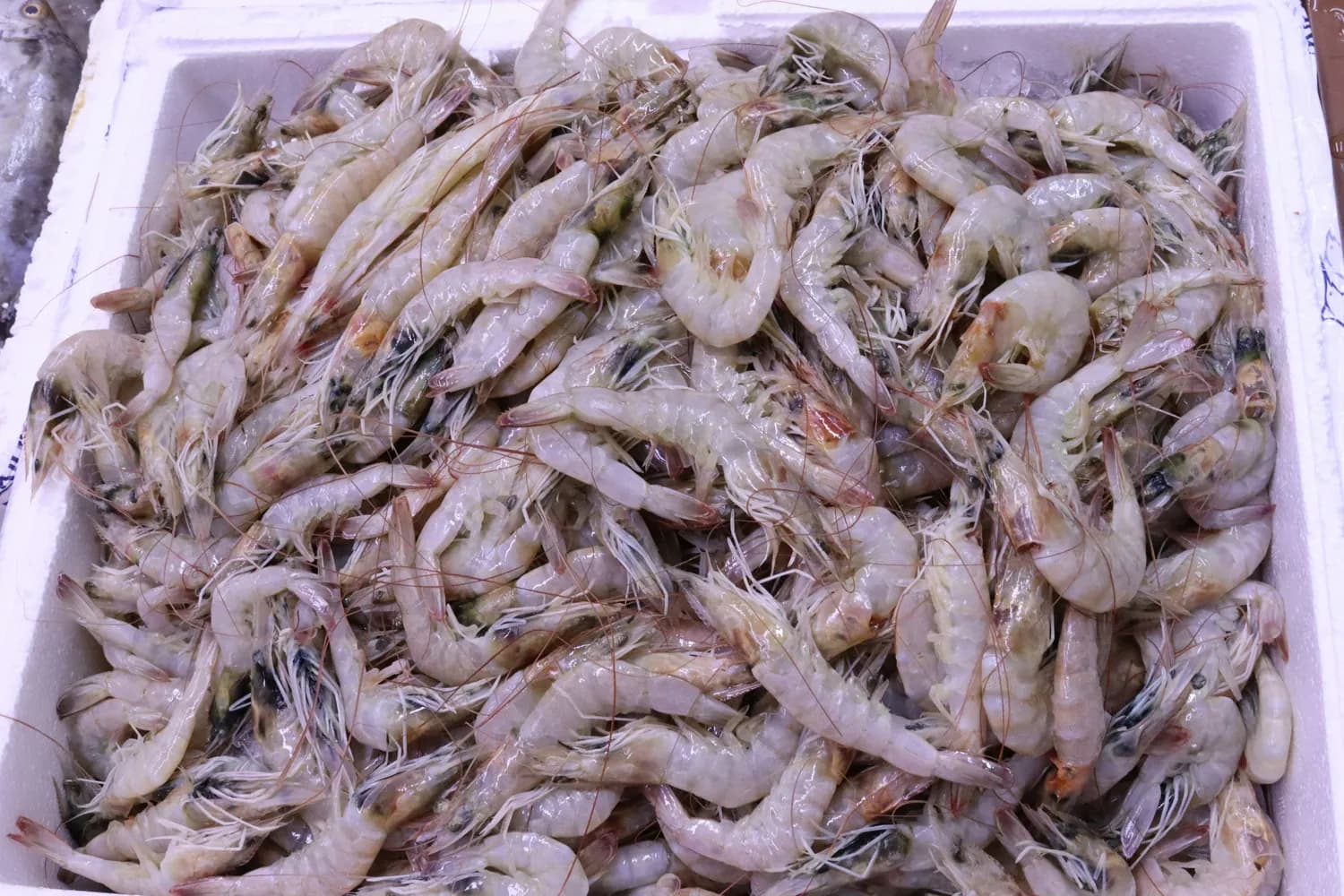夏日冻虾美味大揭秘：海边人教你如何留住鲜味！