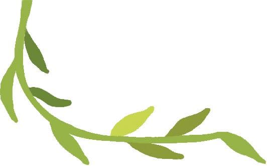 315特辑 | 消费者网络购物应注意？这些案例告诉您……