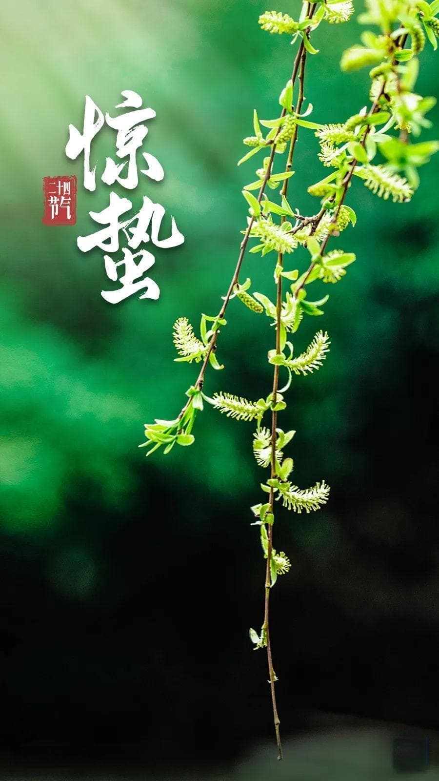 惊蛰养生吃三样喝三汤｜24节气话健康
