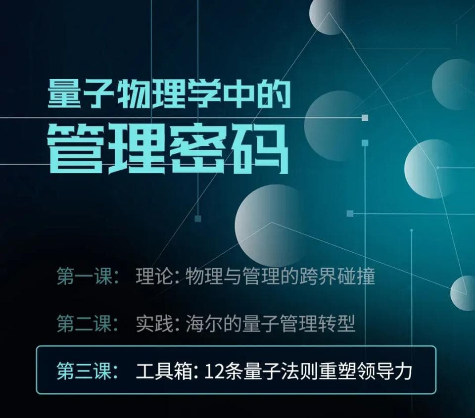 领导力工具箱：实践量子领导力的12项原则