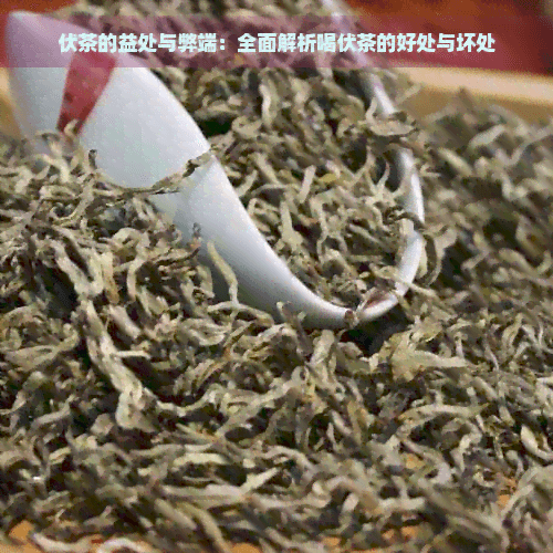 伏茶的益处与弊端：全面解析喝伏茶的好处与坏处