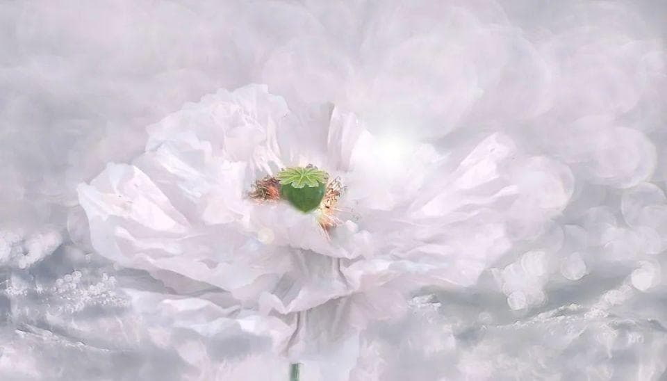 靠「幻想」可以提供心理能量吗？