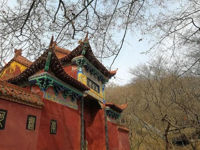 这5个宿州热门景点，宿州人可能都没去过，安徽宿州旅游景点推荐