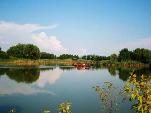 太湖湿地公园：苏州西部的生态新地标