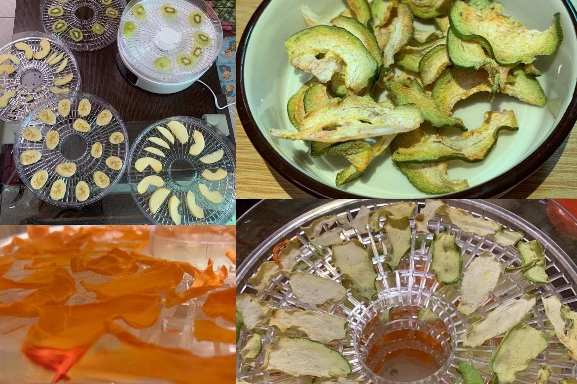 怎么自己做宠物果干？天竺鼠/宠物的健康零食-在家自己做果干，第一次做果干就成功