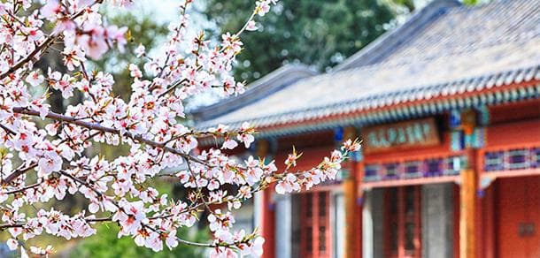 北京大学2024年强基计划招生专业及招生计划