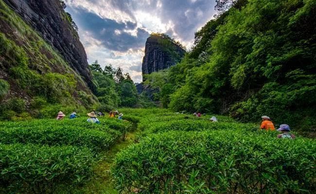 福建旅游必去十大景点：探秘山海之间的千年传奇