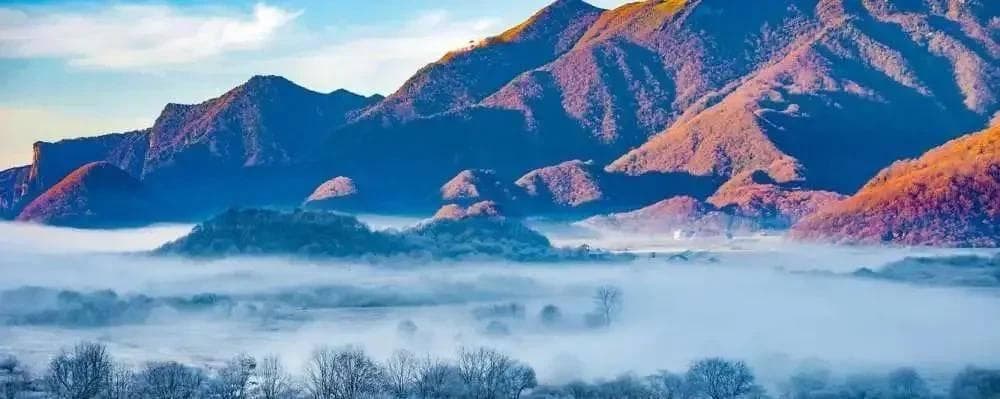 神农架三大未解之谜：白色动物、神秘生物与“野人”传说