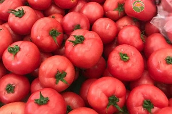 蔬菜沙拉一般用什么蔬菜？