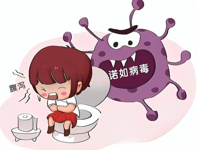又到了诺如病毒高发期，儿童感染后做好5点，远离4个传播途径！