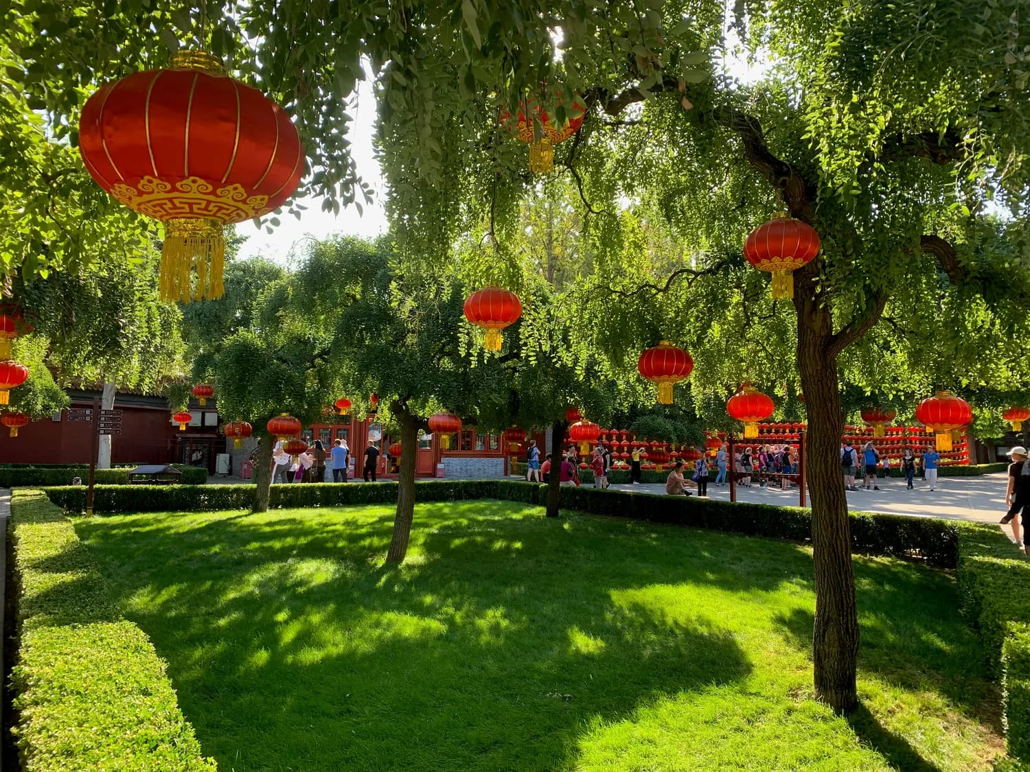 春节旅游热：文旅融合带火地方经济