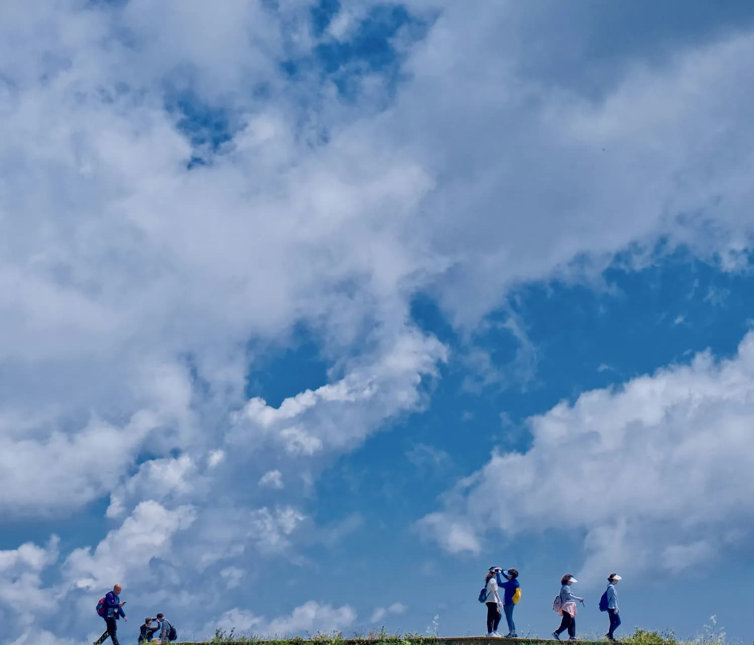 《奔跑吧 7人到齐》：明星们的健康秘籍大揭秘