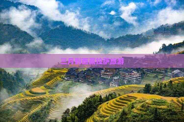 三月到西藏拉萨旅游攻略：淡季特色、预算规划与行程安排