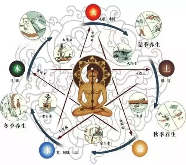 科普在线 | 拍打身体真的有保健作用吗？中医跟大家聊聊“懒人养生法”——拍八虚