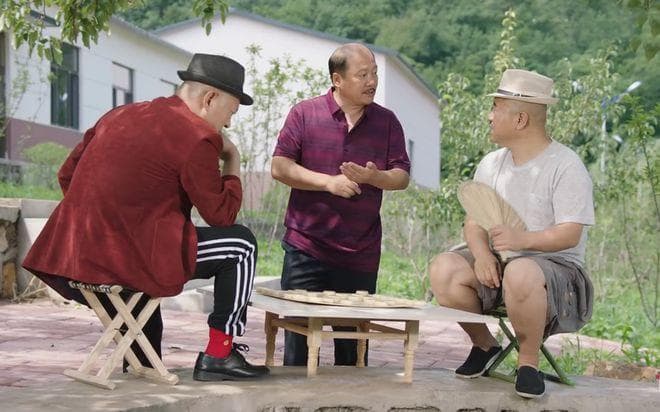 《乡村爱情16》：一部引发争议的乡村喜剧