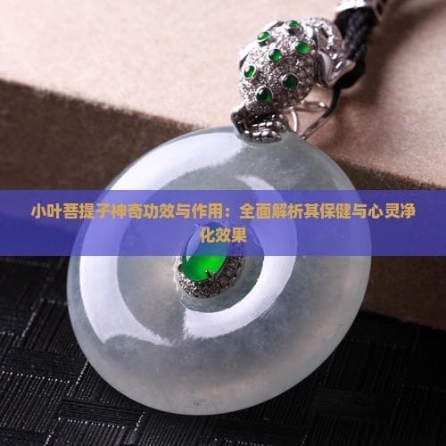 小叶菩提子神奇功效与作用：全面解析其保健与心灵净化效果