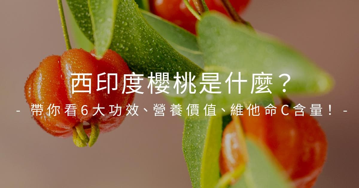 西印度樱桃的功效与食用指南：维生素C含量最高的超级水果