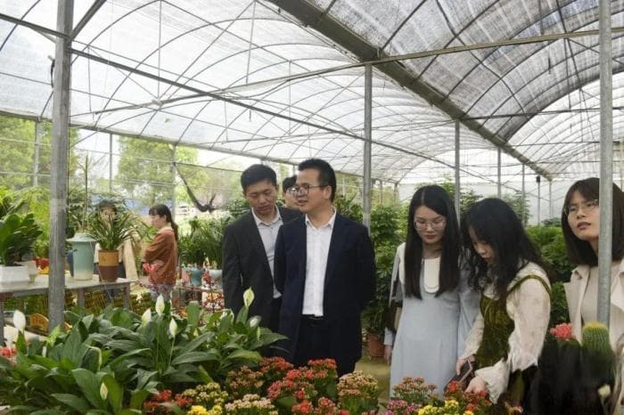 江西临川打造“花卉小镇” 走上“花花绿绿”致富路