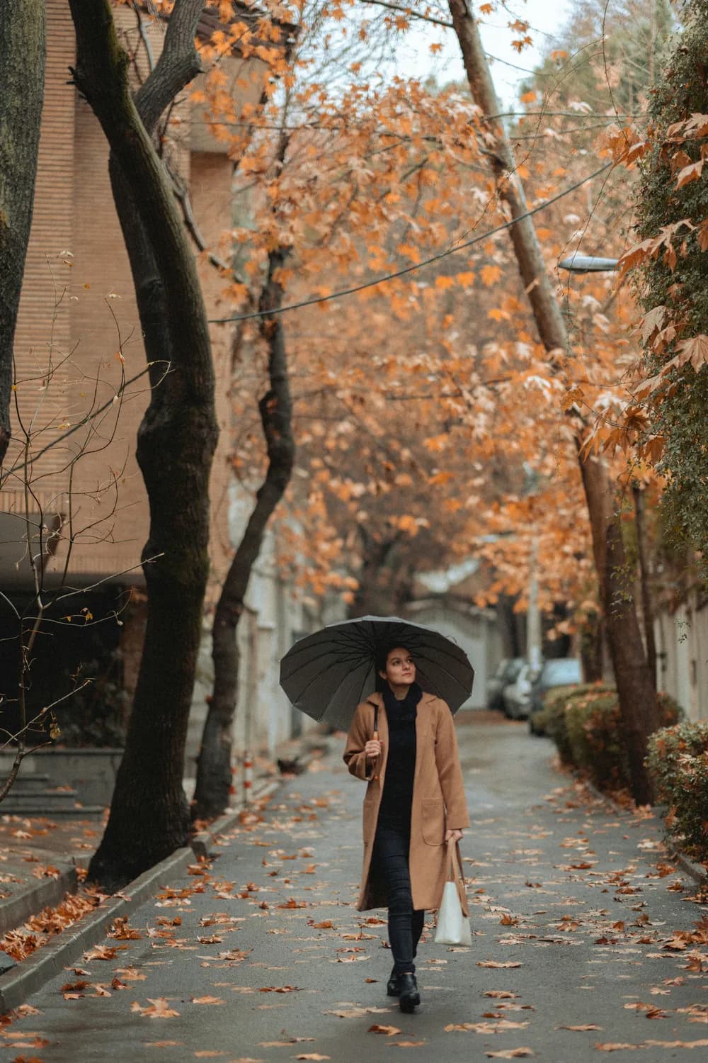 上海11月怎么穿？静奢新中式与都市户外风引领秋冬潮流