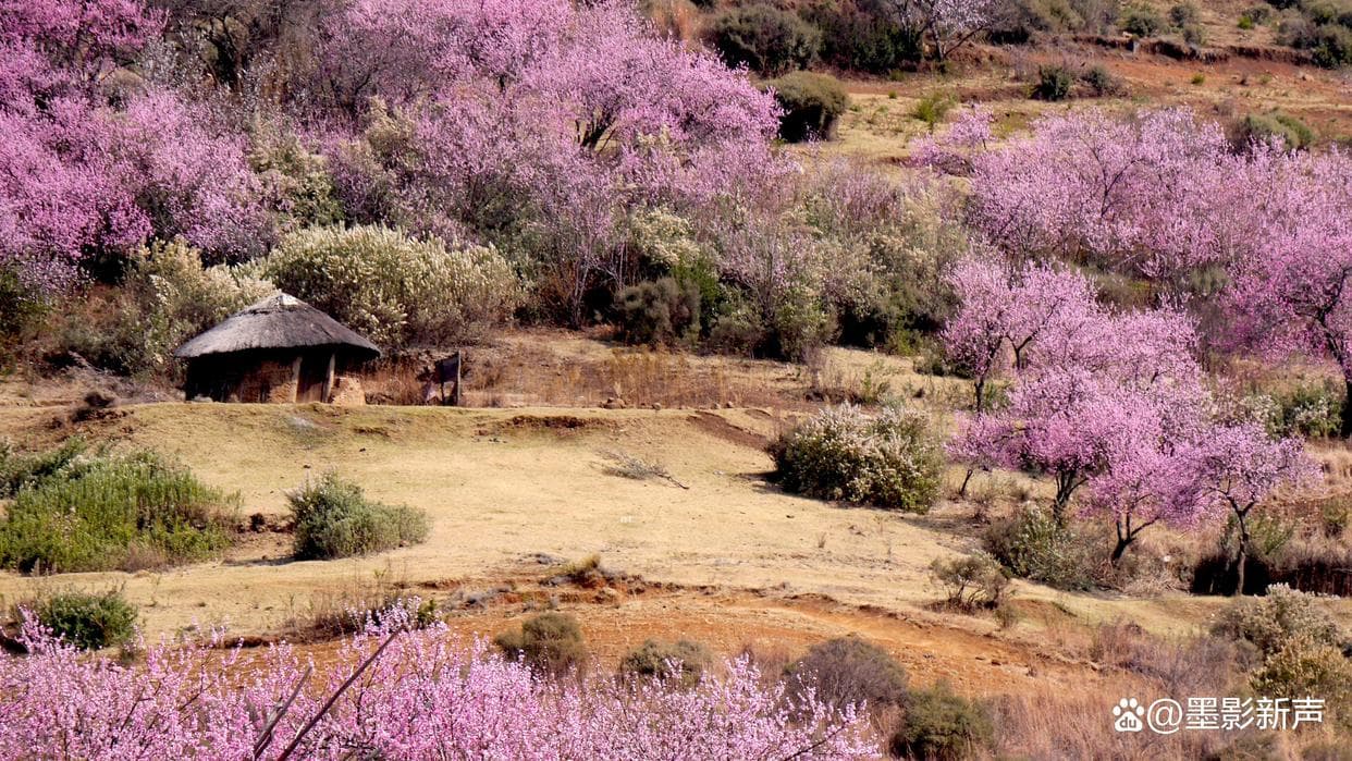 《桃花源记》新解读：竟是幽冥世界的隐喻？