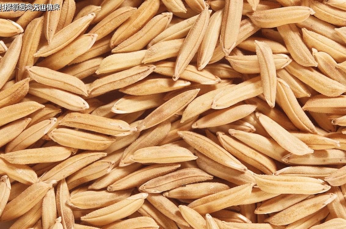 稻壳能直接混在土里种菜吗？从改良土壤到促进生长的全面解析