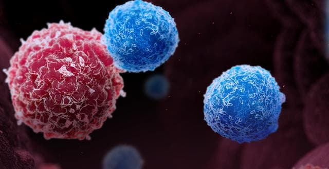 《自然》揭晓2025年七大技术突破，生命科学领域独占四席