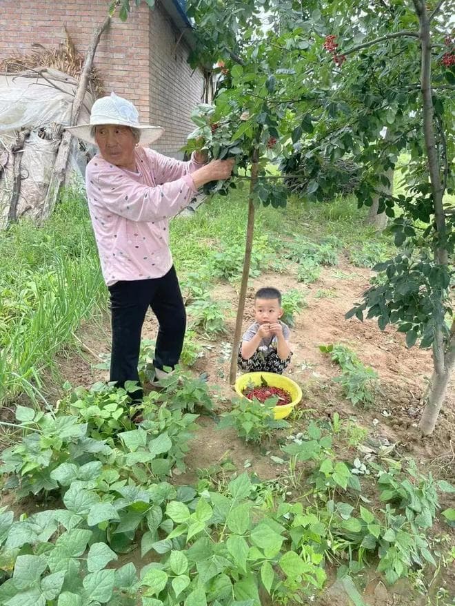 老话“最怕腊月初五是晴天”，是啥意思？腊月初五天晴有啥预兆？