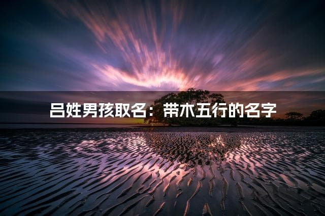 吕姓男孩取名：带木五行的名字（有灵气）
