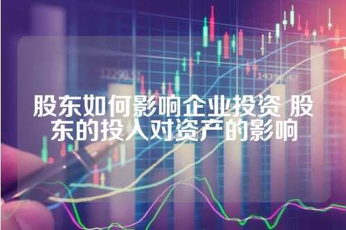 股东如何影响企业投资 股东的投入对资产的影响