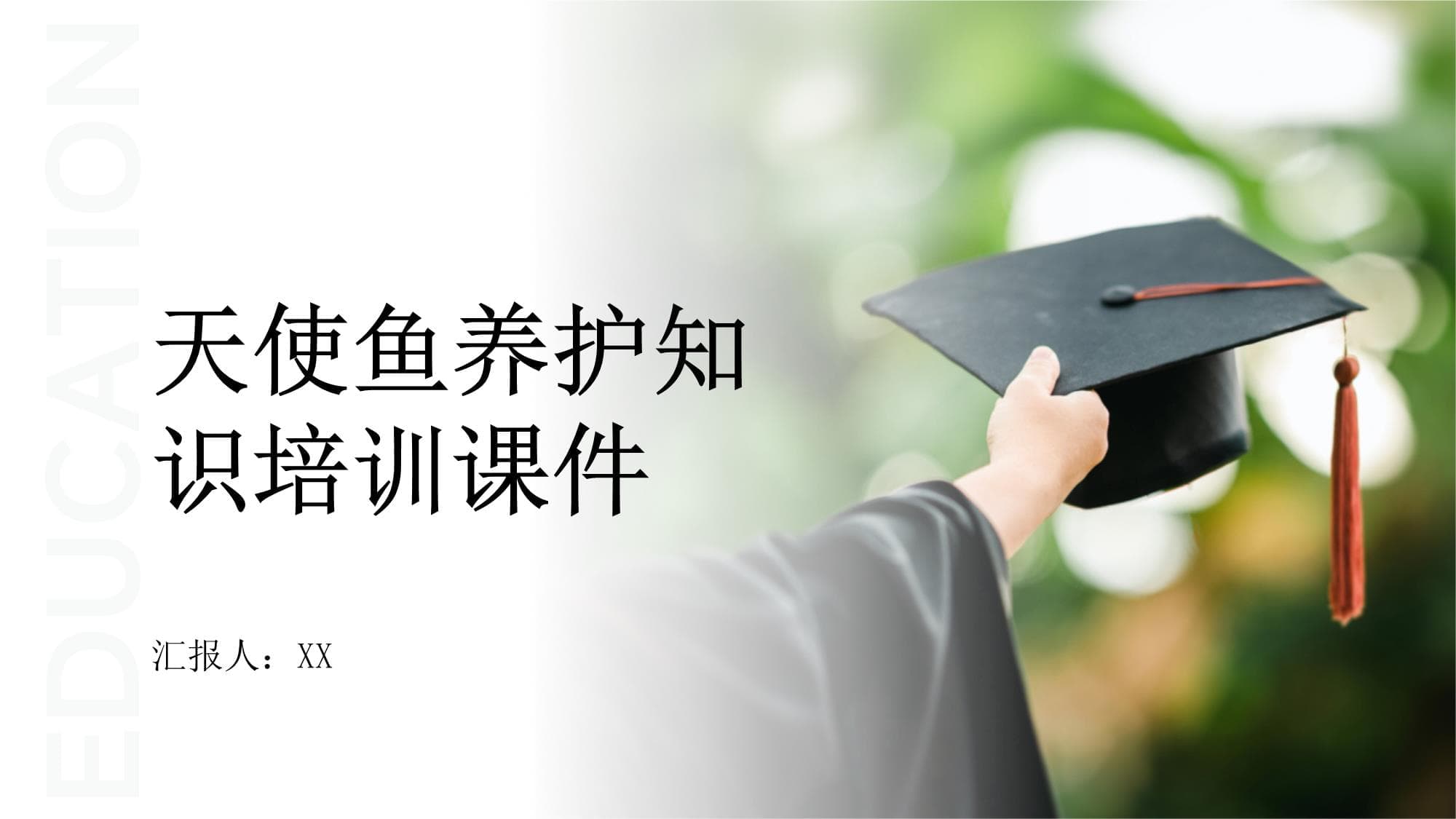 天使鱼养护知识培训课件