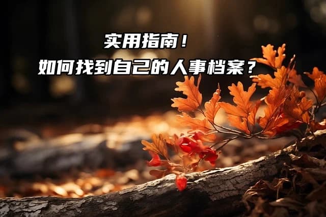 实用指南！如何找到自己的人事档案？